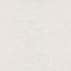 Обои ER12187-26 Erismann Fashion For Walls 4 1.06x10.05